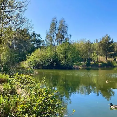 Les Restanques Cabriere 3123 Vue 3 *