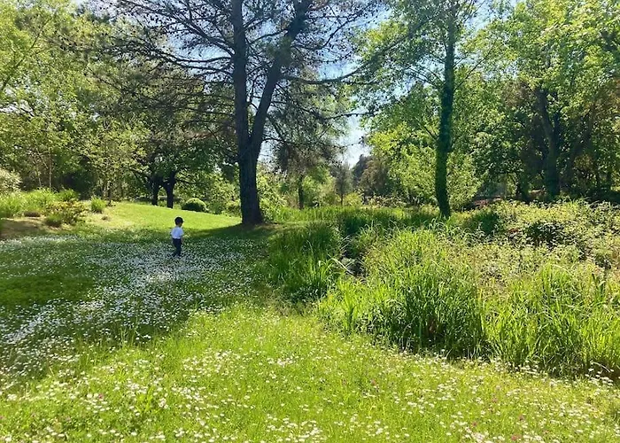 Les Restanques Cabriere 3123 Vue 3 Apartman *