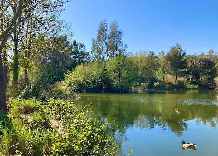 Les Restanques Cabriere 3123 Vue 3 *